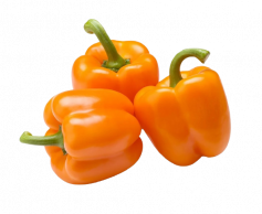 Paprika zeleninová oranžová