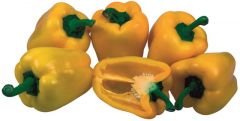 Paprika zeleninová žlutá  